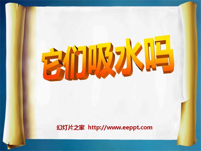 《它们吸水吗》PPT模板在线免费下载