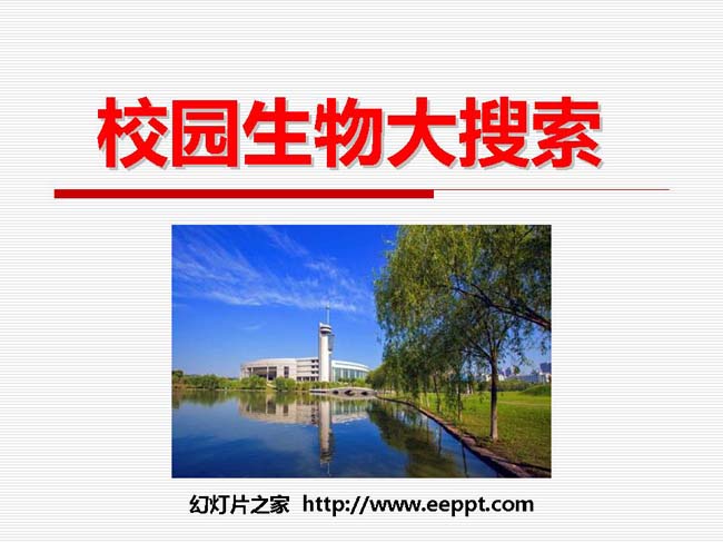 《校园生物大搜索》PPT模板在线免费下载