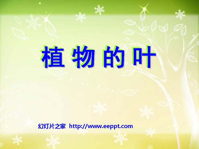 《植物的叶》幻灯片在线免费下载