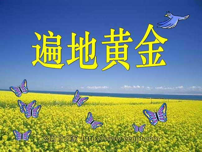 《遍地黄金》ppt课件模板免费下载