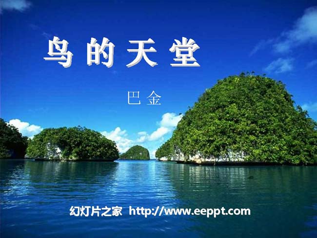 《鸟的天堂》ppt课件模板在线下载