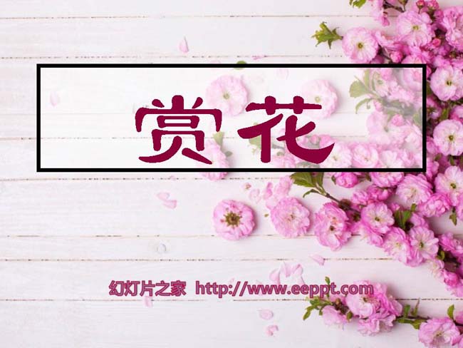 《赏花》ppt模板完整版打包下载