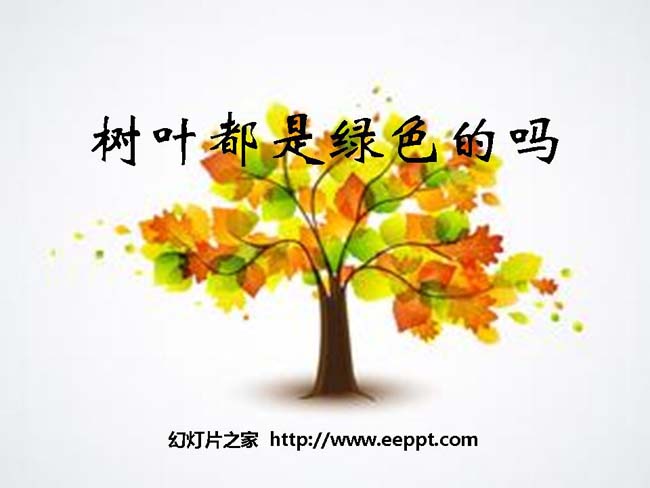 《树叶都是绿色的吗》ppt课件模板在线下载