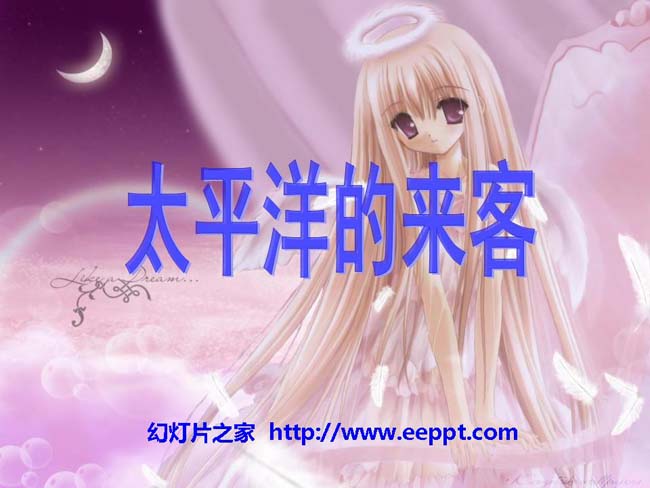 《太平洋的来客》ppt模板在线免费下载