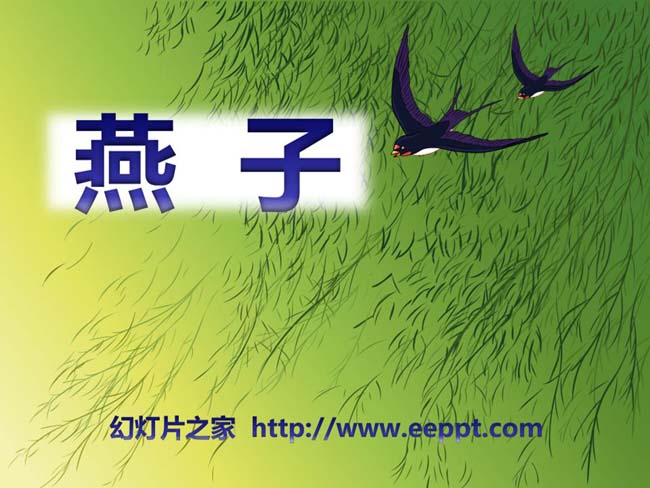 《燕子》ppt模板完整版免费下载