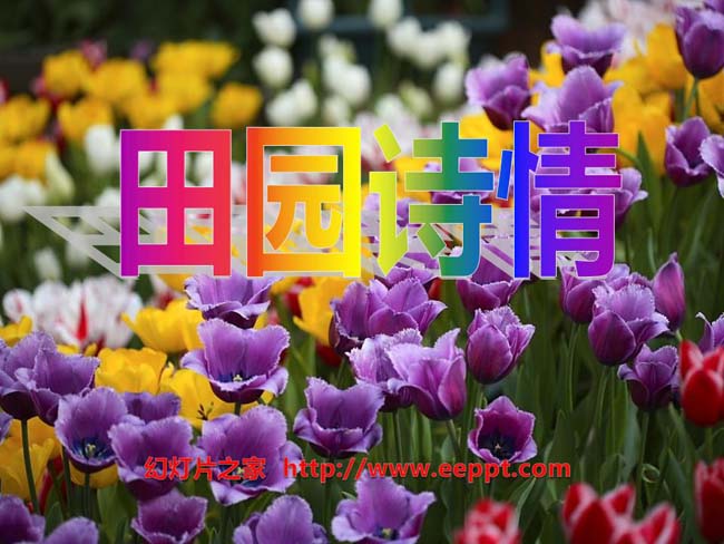 《田园诗情》ppt模板免费下载