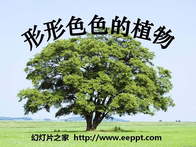 《形形色色的植物》ppt模板在线下载