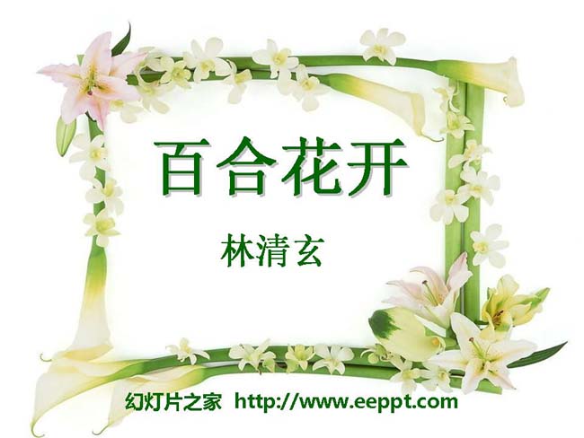 《百合花开》ppt模板演示在线下载