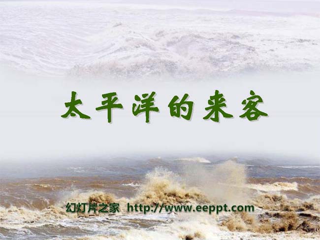《太平洋的来客》ppt课件免费下载
