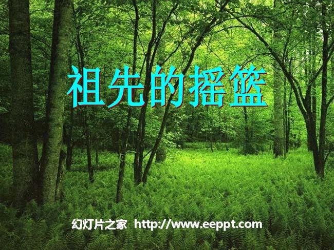 《祖先的摇篮》ppt模板在线免费下载