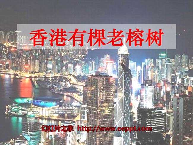《香港有棵老榕树》ppt课件模板在线免费下载