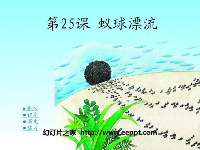 《蚁球漂流》ppt模板免费下载