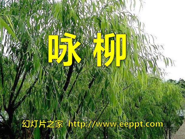 《咏柳》ppt模板完整版免费在线下载